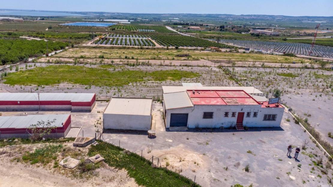 Sale - Country House - Los Montesinos - Los Montesinos Centro