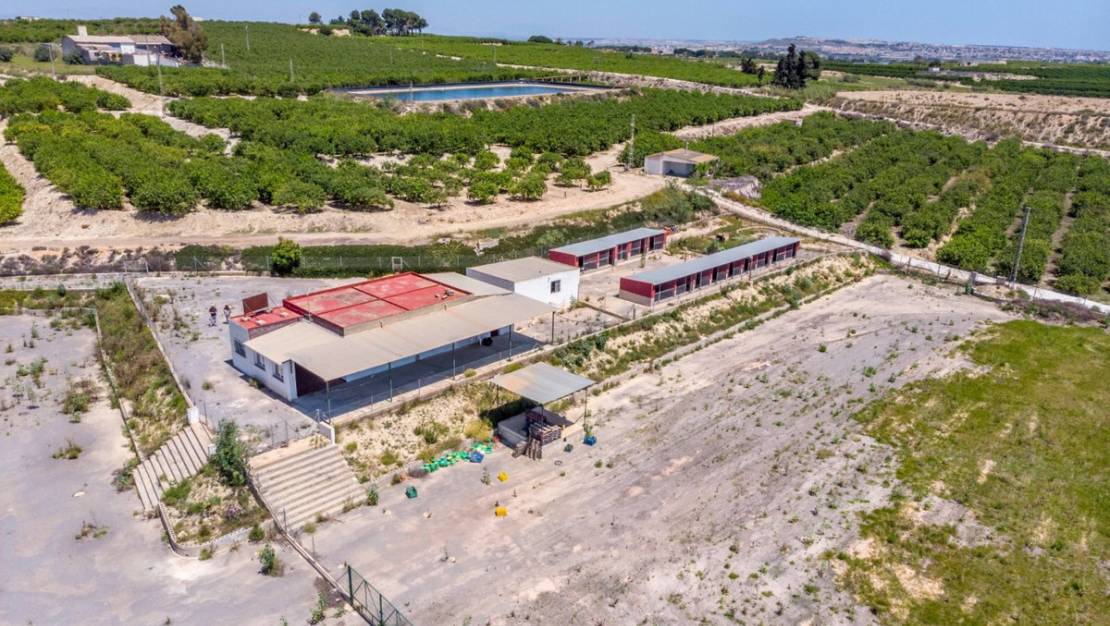 Sale - Country House - Los Montesinos - Los Montesinos Centro