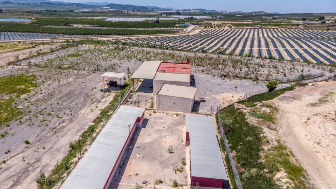 Sale - Country House - Los Montesinos - Los Montesinos Centro