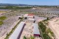 Sale - Country House - Los Montesinos - Los Montesinos Centro