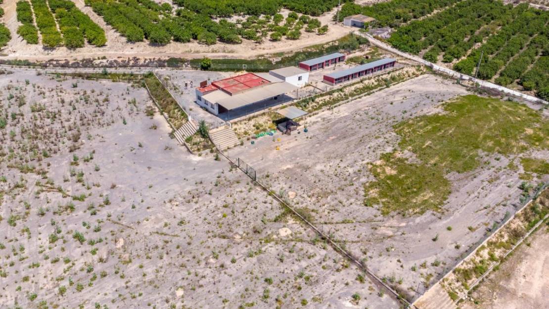 Sale - Country House - Los Montesinos - Los Montesinos Centro