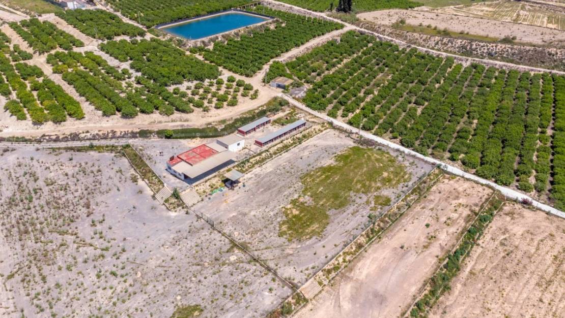 Sale - Country House - Los Montesinos - Los Montesinos Centro