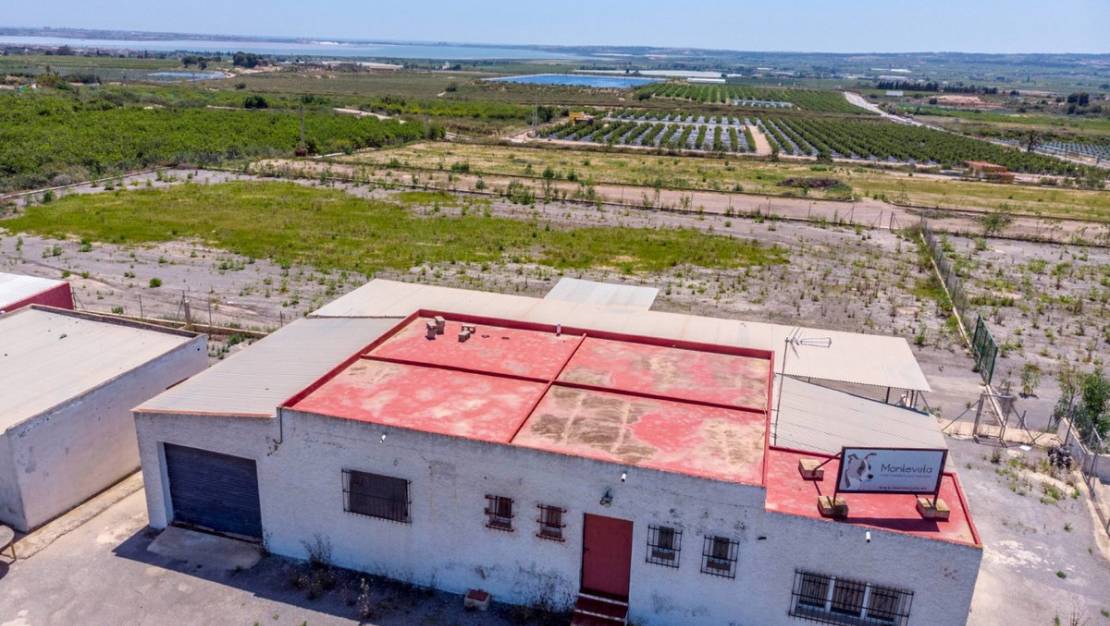 Sale - Country House - Los Montesinos - Los Montesinos Centro