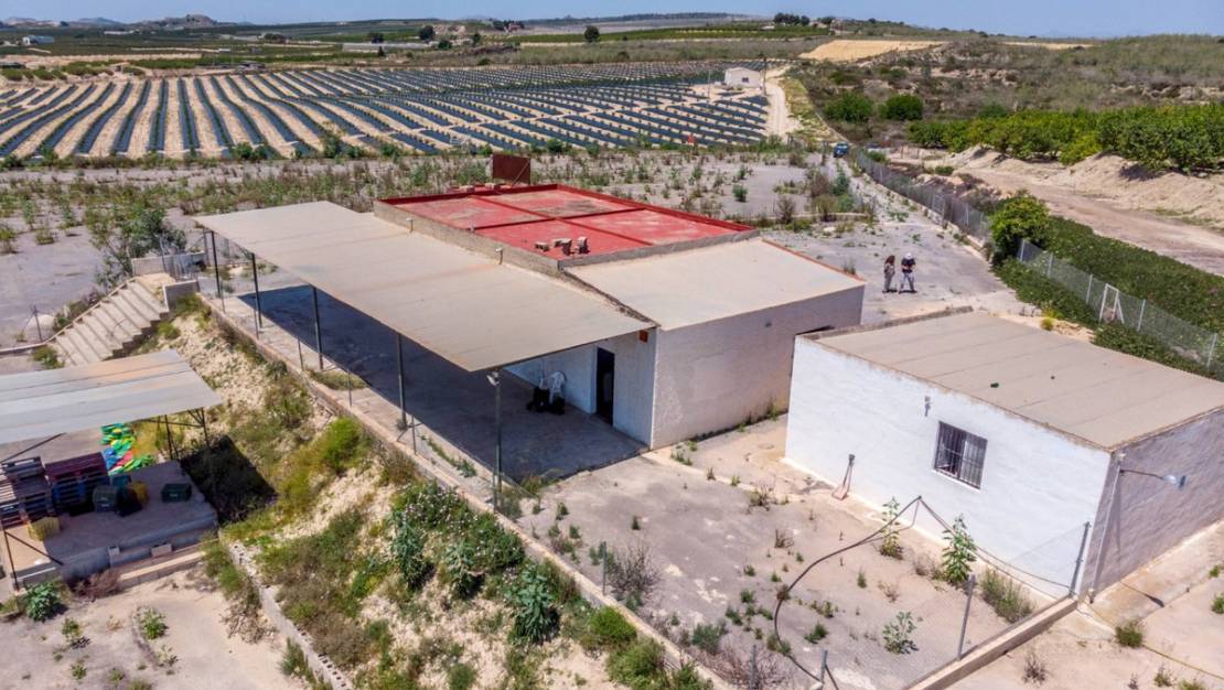 Sale - Country House - Los Montesinos - Los Montesinos Centro
