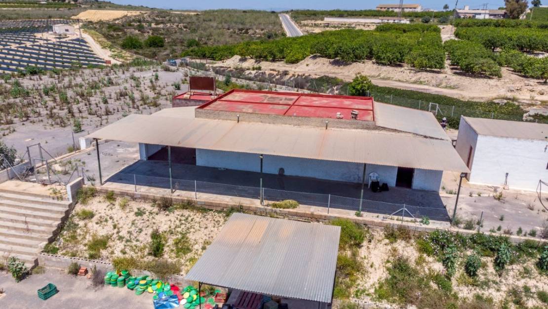 Sale - Country House - Los Montesinos - Los Montesinos Centro