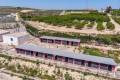 Sale - Country House - Los Montesinos - Los Montesinos Centro