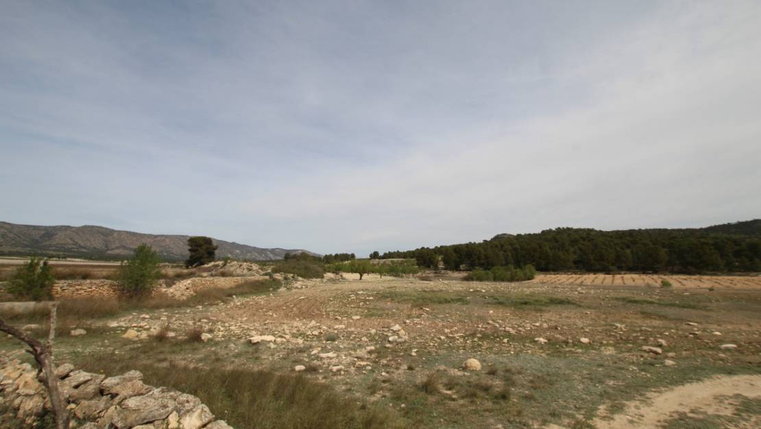 Sale - Country House - Monóvar - Monòver - Monóvar - Monòver Centro