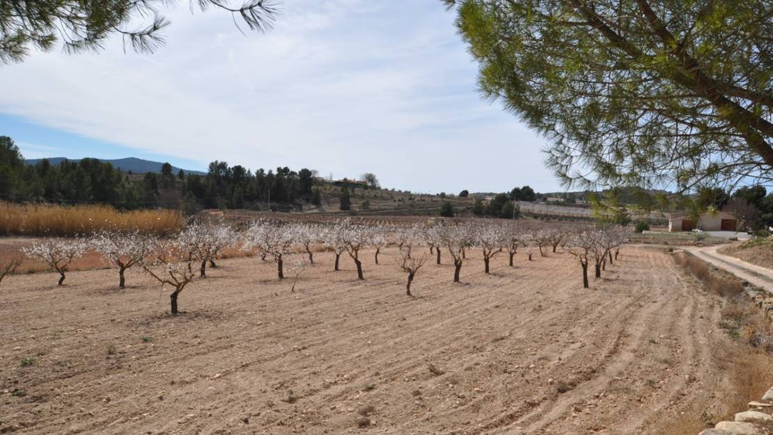 Sale - Country House - Monóvar - Monòver - Monóvar - Monòver Centro