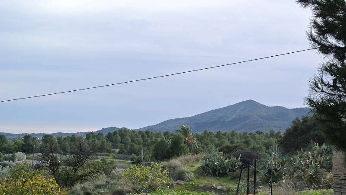 Sale - Country House - Monóvar - Monòver - Monóvar - Monòver Centro