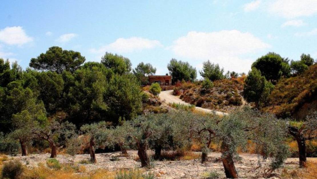 Sale - Country House - Murcia - Gea y Truyols