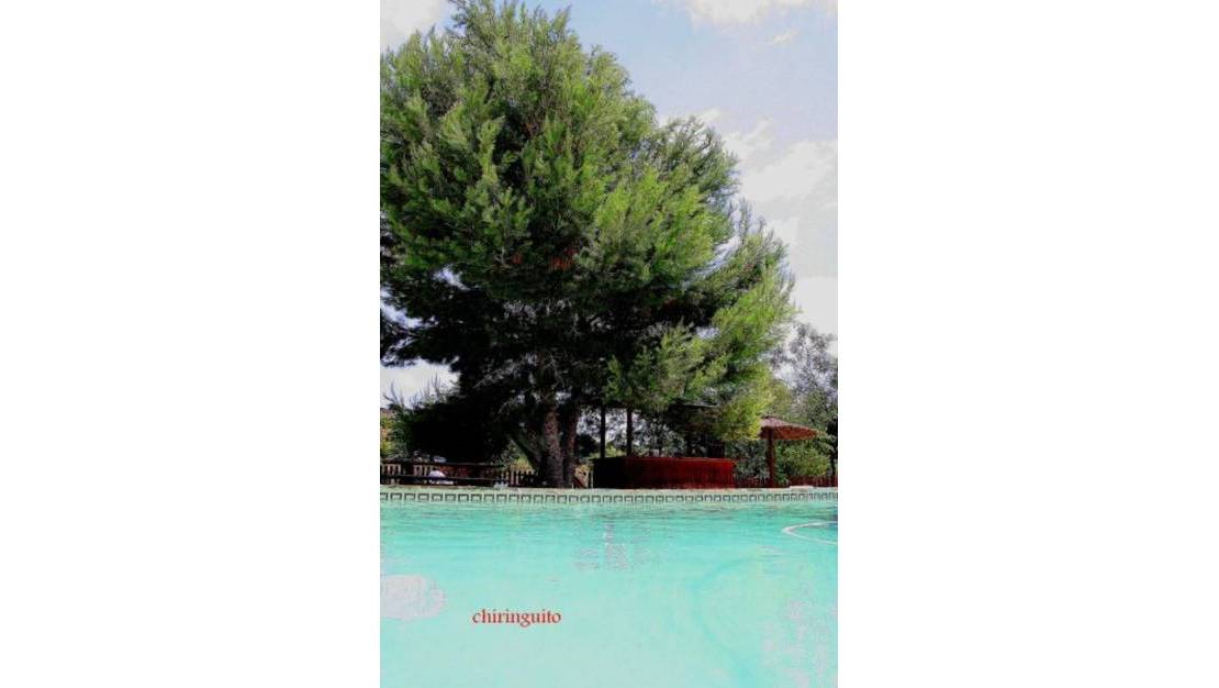 Sale - Country House - Murcia - Gea y Truyols