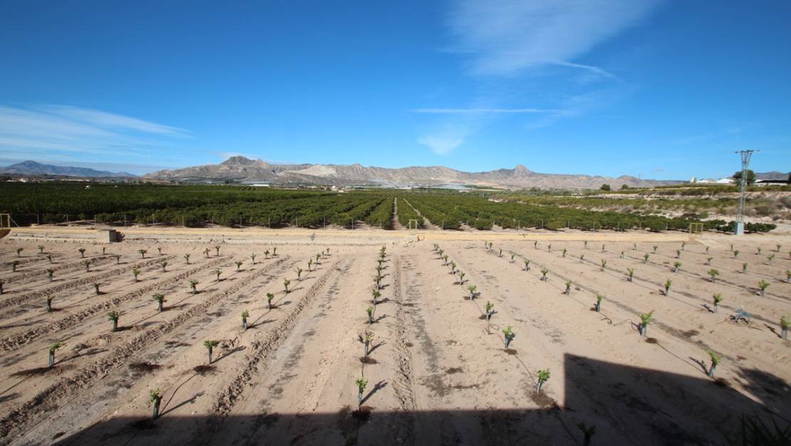 Sale - Country House - Murcia - Murcia City