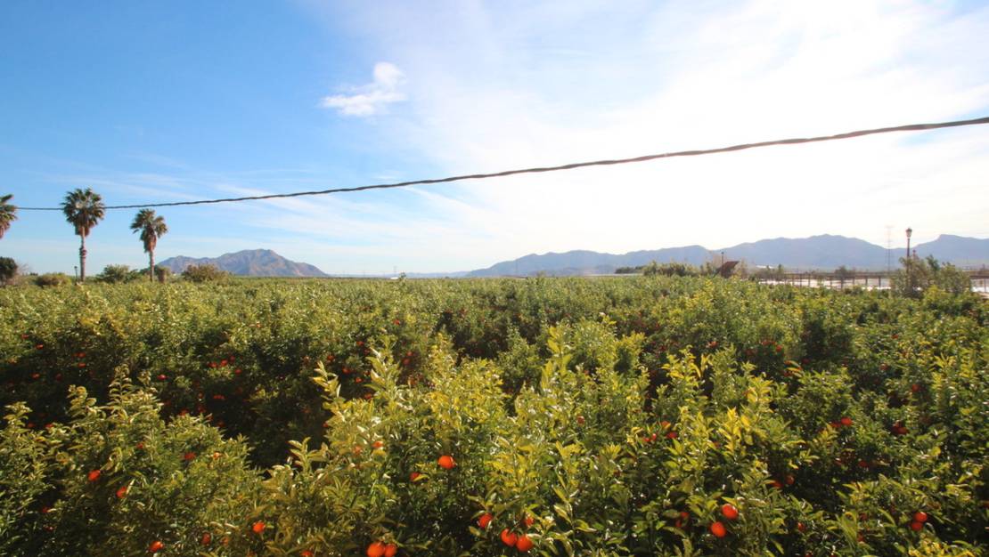 Sale - Country House - Murcia - Murcia City