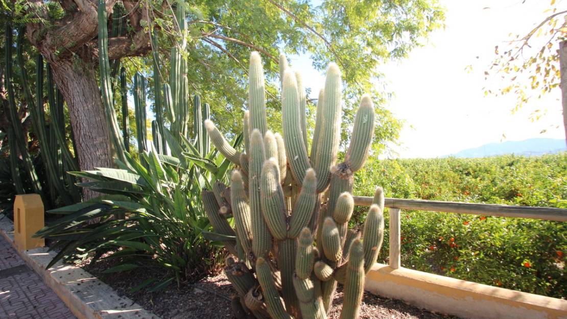 Sale - Country House - Murcia - Murcia City