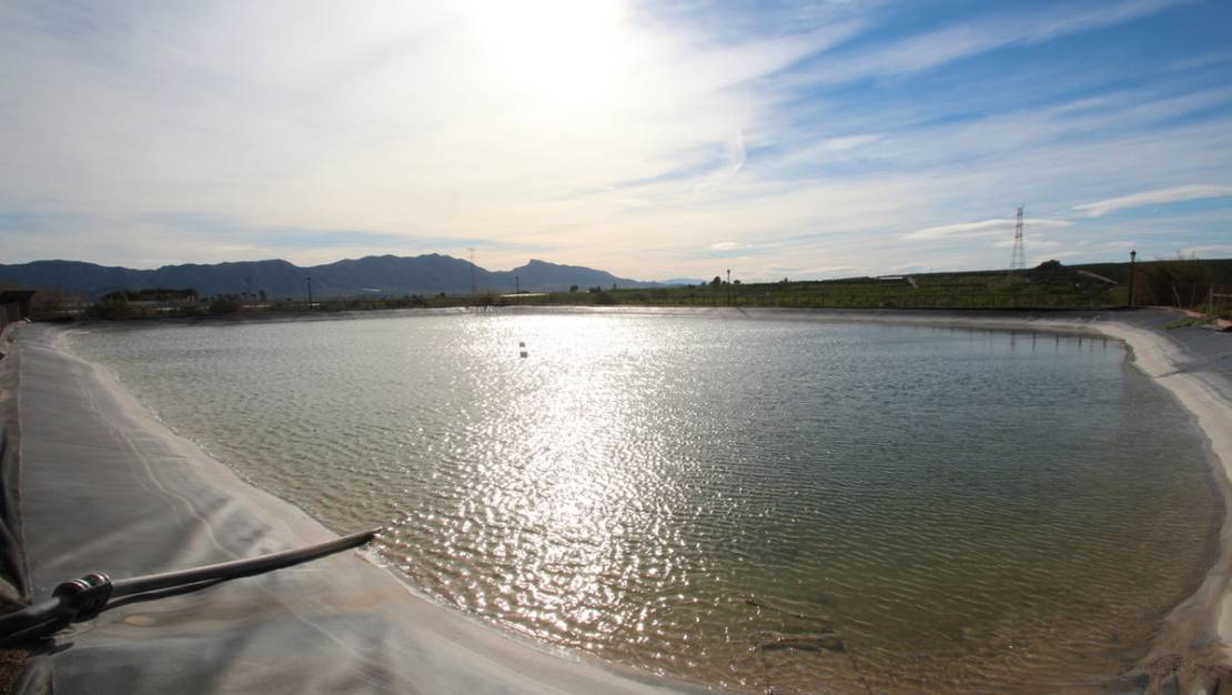 Sale - Country House - Murcia - Murcia City