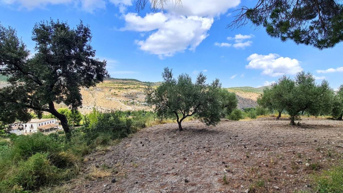 Sale - Country House - Muro de Alcoy - Muro de Alcoy Centro