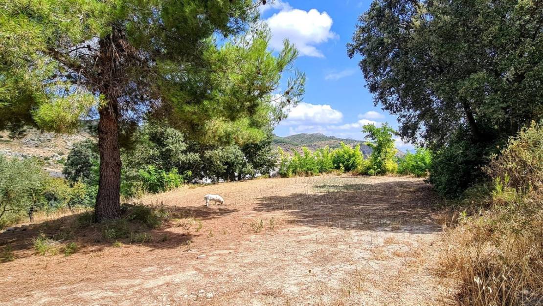 Sale - Country House - Muro de Alcoy - Muro de Alcoy Centro