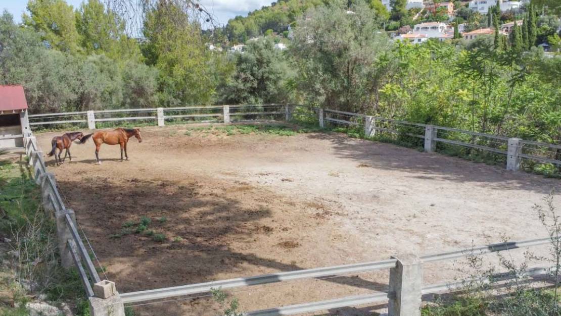 Sale - Country House - Orba - Orba Centro