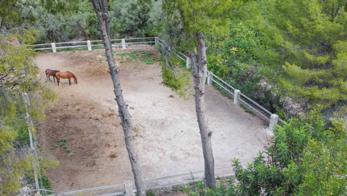 Sale - Country House - Orba - Orba Centro