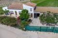 Sale - Country House - Orihuela - Desamparados-Hurchillo-Torremendo