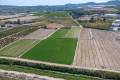 Sale - Country House - Orihuela - Desamparados-Hurchillo-Torremendo