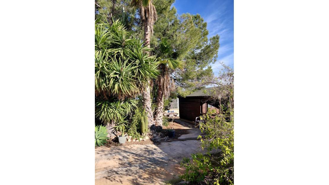 Sale - Country House - Orihuela - La Murada
