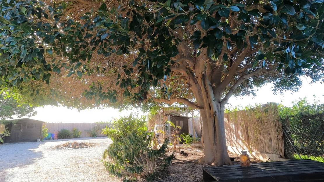 Sale - Country House - Orihuela - Orihuela Centro