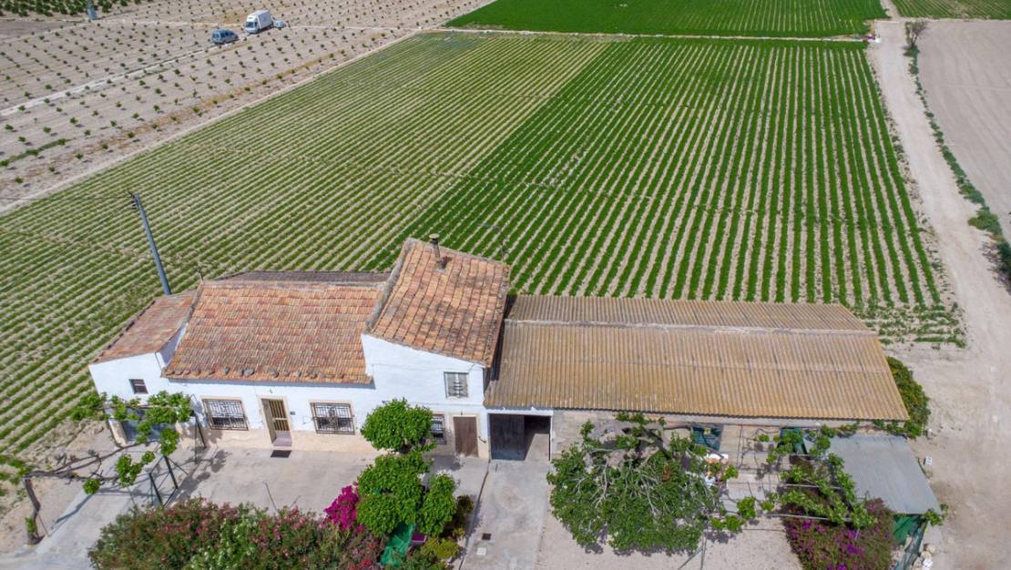 Sale - Country House - Orihuela - Orihuela Centro