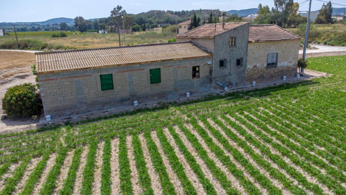 Sale - Country House - Orihuela - Orihuela Centro