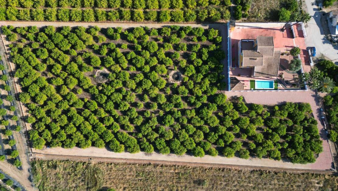 Sale - Country House - Orihuela - Orihuela Centro