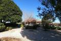 Sale - Country House - Orihuela - Orihuela Centro