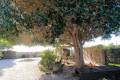 Sale - Country House - Orihuela - Orihuela Centro