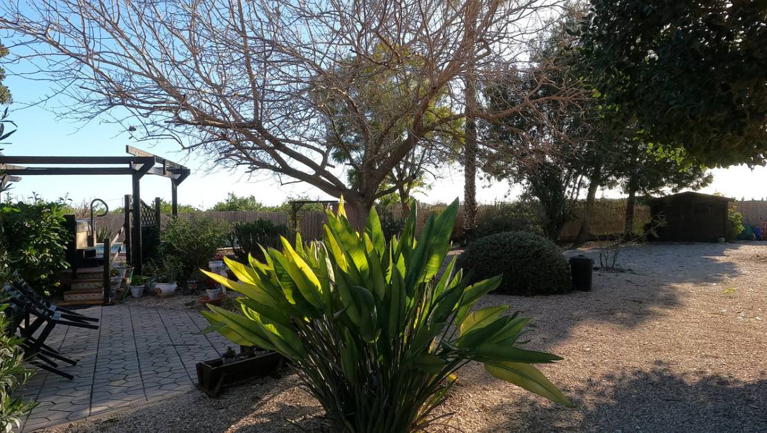 Sale - Country House - Orihuela - Orihuela Centro