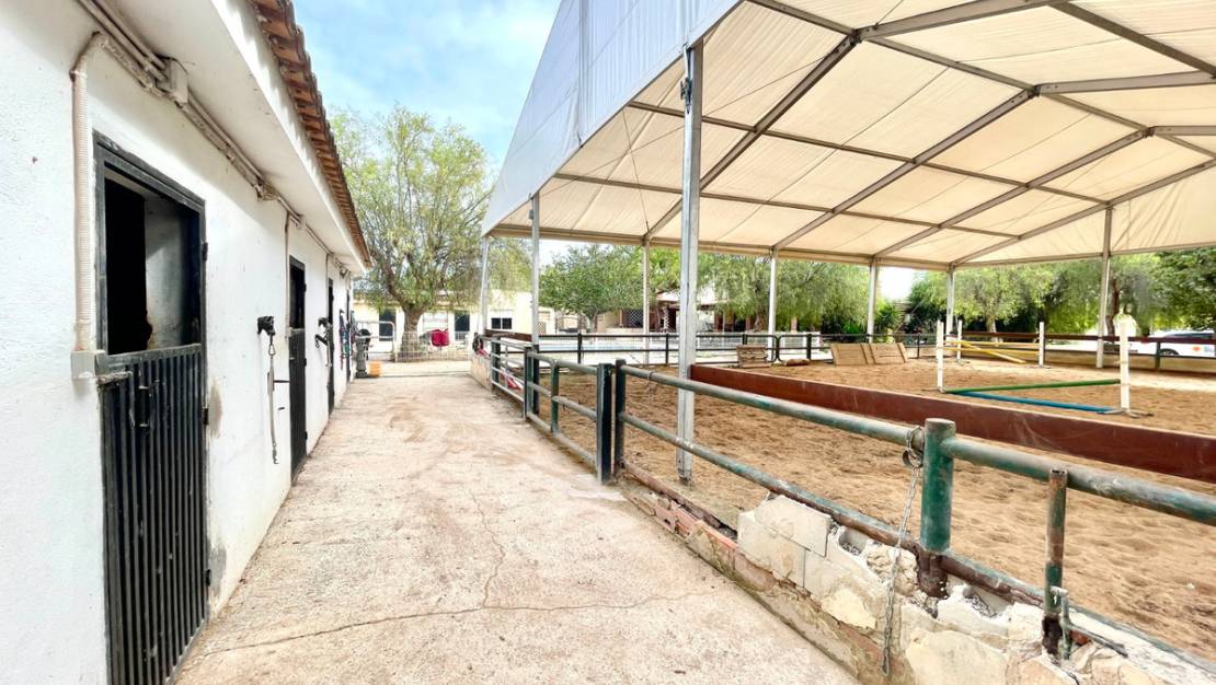 Sale - Country House - Orihuela - Orihuela Centro