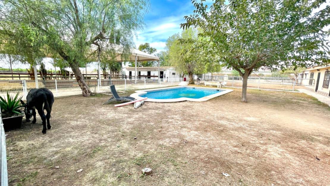 Sale - Country House - Orihuela - Orihuela Centro