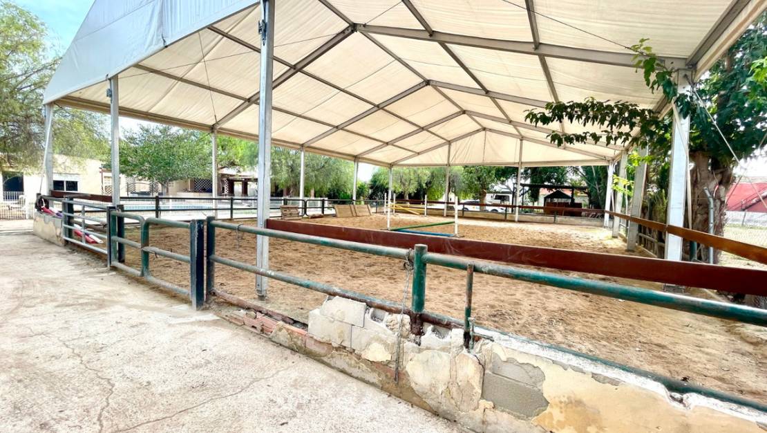 Sale - Country House - Orihuela - Orihuela Centro