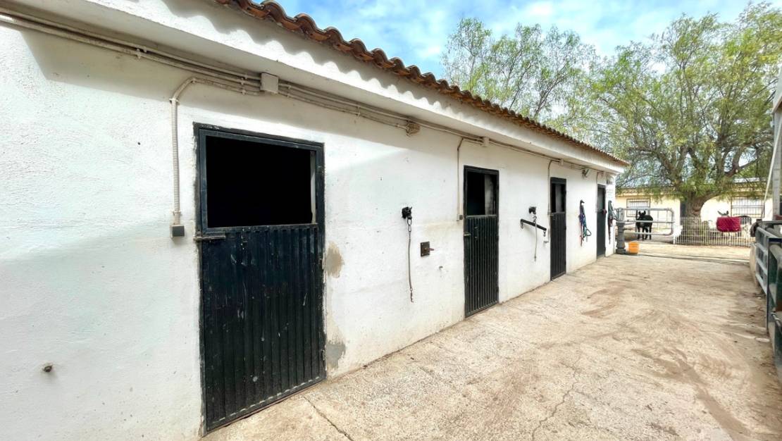 Sale - Country House - Orihuela - Orihuela Centro