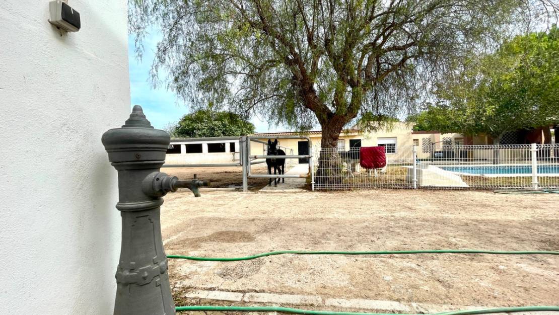 Sale - Country House - Orihuela - Orihuela Centro