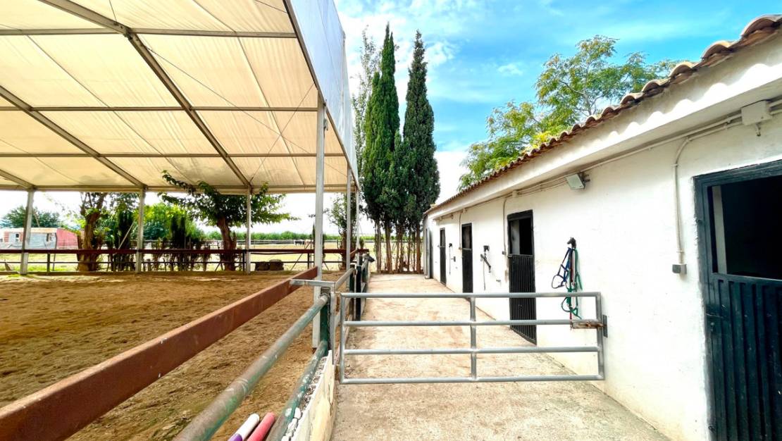 Sale - Country House - Orihuela - Orihuela Centro