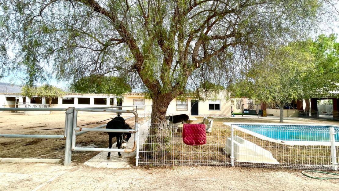 Sale - Country House - Orihuela - Orihuela Centro