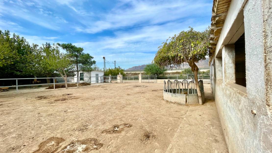 Sale - Country House - Orihuela - Orihuela Centro