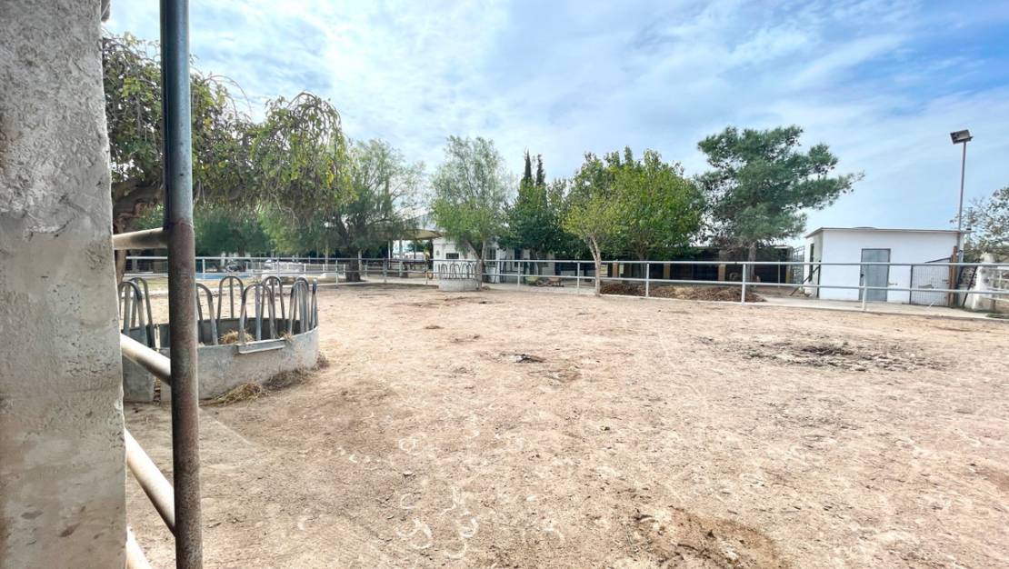 Sale - Country House - Orihuela - Orihuela Centro