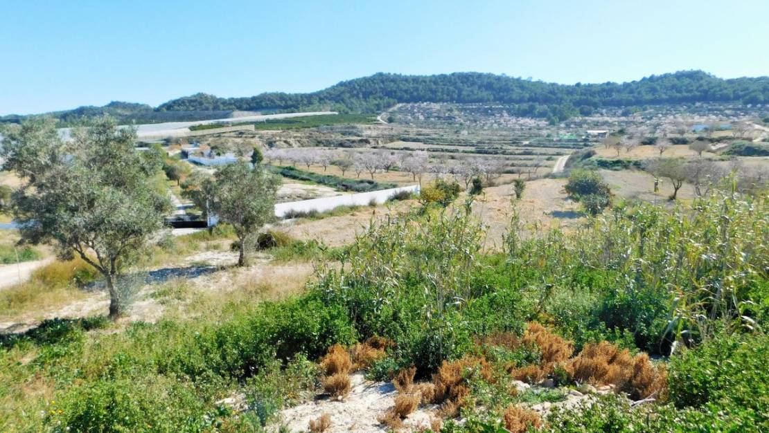 Sale - Country House - Orihuela - Torremendo