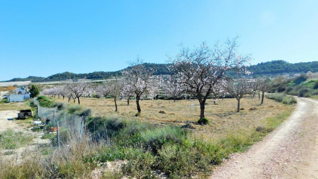 Sale - Country House - Orihuela - Torremendo