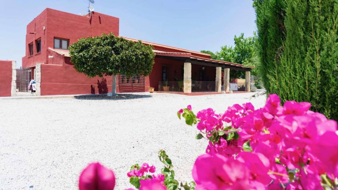 Sale - Country House - Orihuela - Torremendo