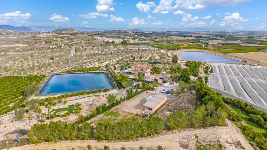 Sale - Country House - Orihuela - Torremendo