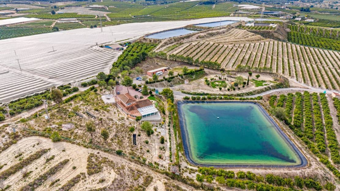 Sale - Country House - Orihuela - Torremendo