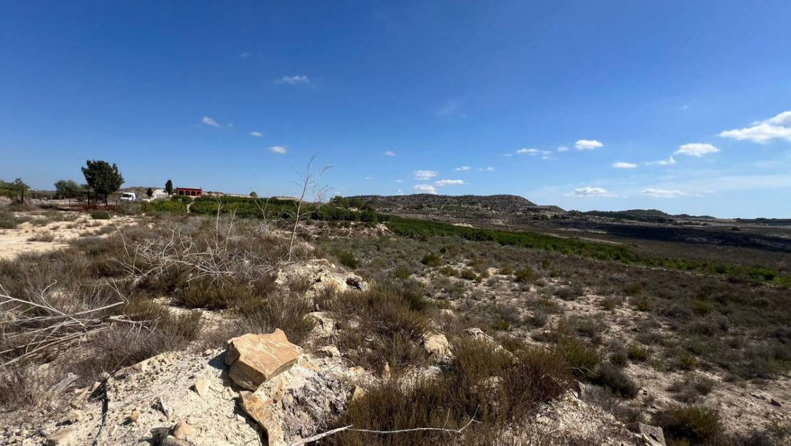 Sale - Country House - Orihuela - Torremendo