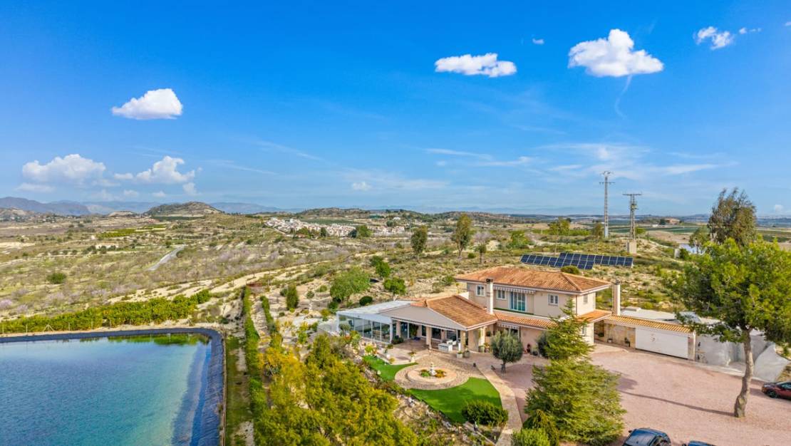 Sale - Country House - Orihuela - Torremendo
