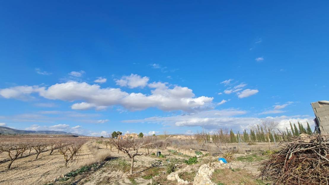 Sale - Country House - Pinoso - Pinoso Centro